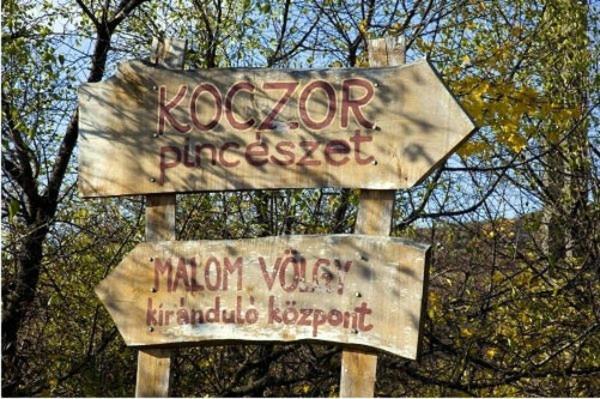 Koczor Winery & Guesthouse Balatonfüred Exteriör bild
