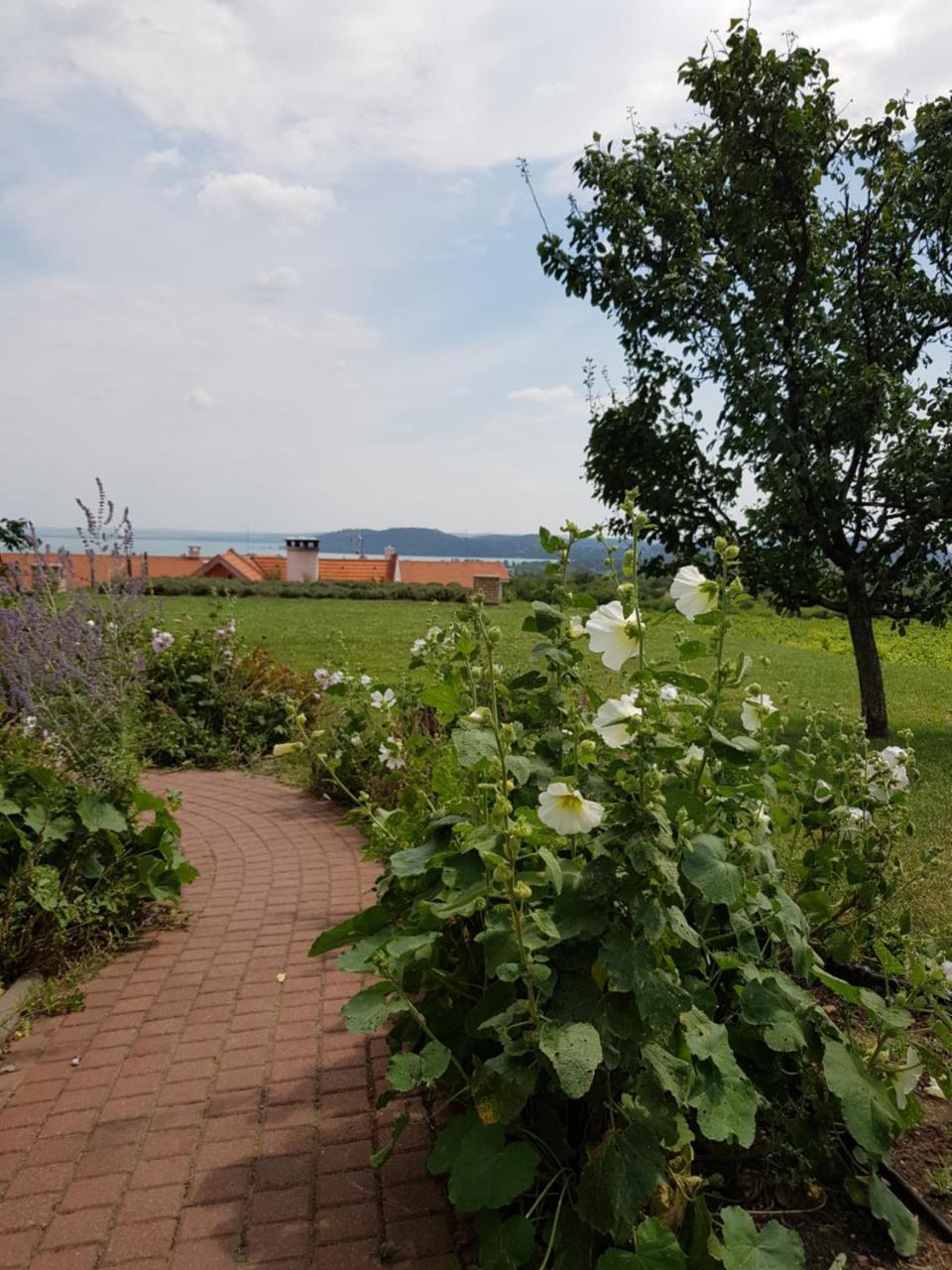 Koczor Winery & Guesthouse Balatonfüred Exteriör bild